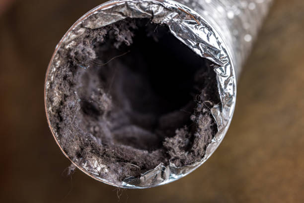 Best Affordable Air Duct Cleaning  in Inverness, CA